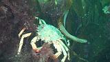 2011-06-15 16-58-55 UK_21